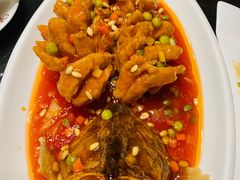 松鼠桂鱼-勺园饭店(骨科医院店)