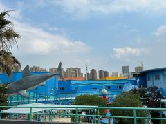 -海合安武汉极地海洋公园