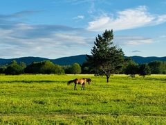 -北极村旅游风景区