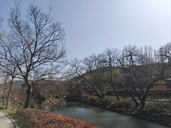 -冶父山国家森林公园