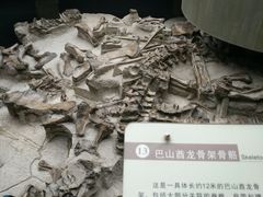 -自贡恐龙博物馆