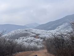 -湖州龙王山景区