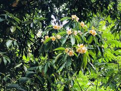 -敬亭山风景名胜区