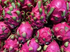 -果乐多生鲜超市(真理道店)