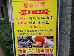 -老幺泉水鸡