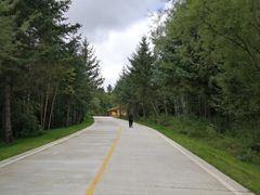 -五营红松林海景区