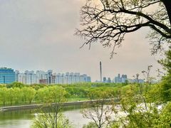 -仙游岛公园
