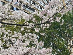 -杭州湖滨银泰in77