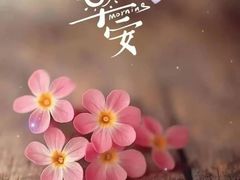 -奥帕拉拉水公园