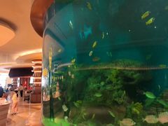 -艺厨风尚餐厅 · 桔钓沙莱华度假酒店