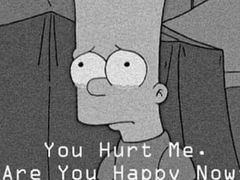 -合肥滨湖国家森林公园