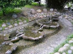 -成都市活水公园