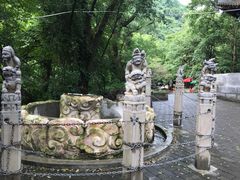 -陕西省红河谷森林公园