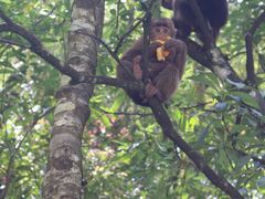 -西岭雪山大飞水景区