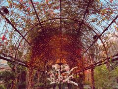 -The Grounds of Alexandria