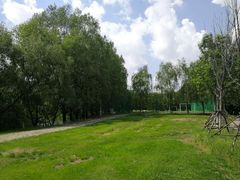 -长白岛森林公园