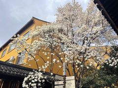 -龙华寺