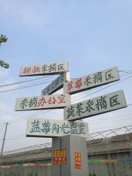 -蓝呗呗蓝莓草莓采摘园(通州区马驹桥店)