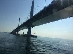 -港珠澳大桥码头