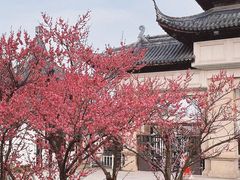 -苏州上方山国家森林公园