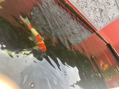 -启明龙王庙
