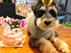 -百好乐宠物友好餐厅(朝外大街店)