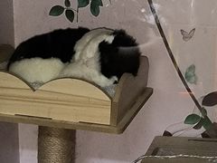 -203密室逃脱体验馆·聚会·亲子·团建(中关村店)