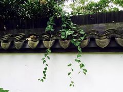 -上海佘山国家森林公园天马山园