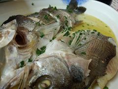 招牌野生海鲈鱼-南湖船菜大酒店