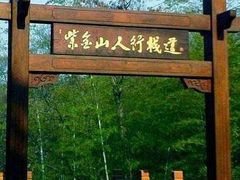 -紫金山天文台