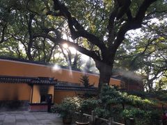 -普陀山风景名胜区-法雨禅寺