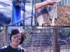 -费瑟代尔野生动物园