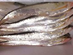 -新花城蟹粉馆(乌鲁木齐店)