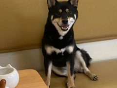 -柴の食堂·日式家庭料理·熊之肆(大学路店)