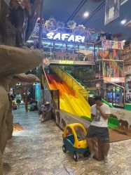 -卡通尼·Safari非洲探索乐园·生日会(金桥国际商业广场店)