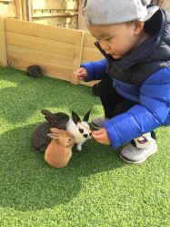 -萌宠亲子动物乐园(槐房万达店)