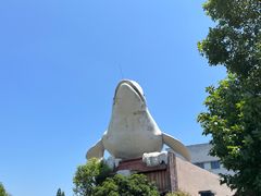 -杭州长乔极地海洋公园