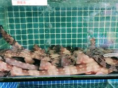 -叶姐海鲜(棋子湾店)