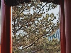 -迎泽公园