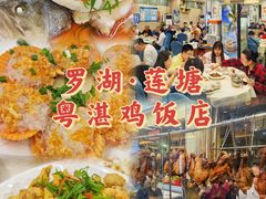 -陈记粤湛鸡饭店