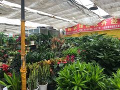 -秦美花卉(天朗·莱茵小城2期店)