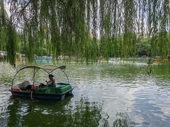 -莲湖公园