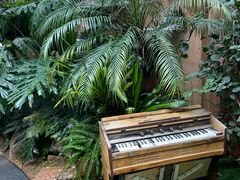 -六阅·福十 FORTEN 海景咖啡西餐厅(双廊古镇店)