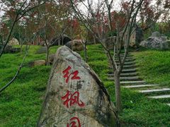 -广州市帽峰山景区