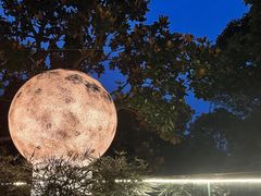 -恬阿姨庭院餐厅·生日宴