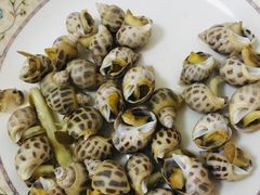 -情忆草原涮肉馆