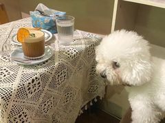 -默迹咖啡馆