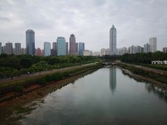 -万绿园