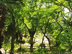 -上海佘山国家森林公园西佘山园