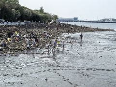 -吴淞炮台湾湿地森林公园烧烤区